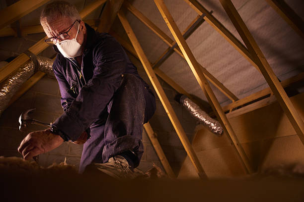 Best Specialized Insulation Services in China Lake Acres, CA