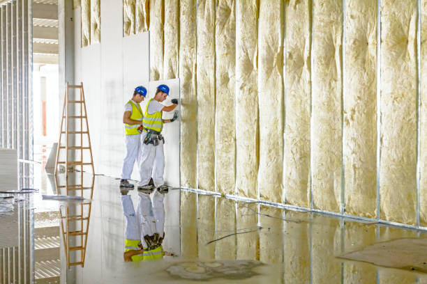 Best Insulation Maintenance and Repair in China Lake Acres, CA